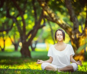 开云体育2026-西决生死战启示录，尼斯翻盘荷兰，足球场上的不可能如何照进现实？