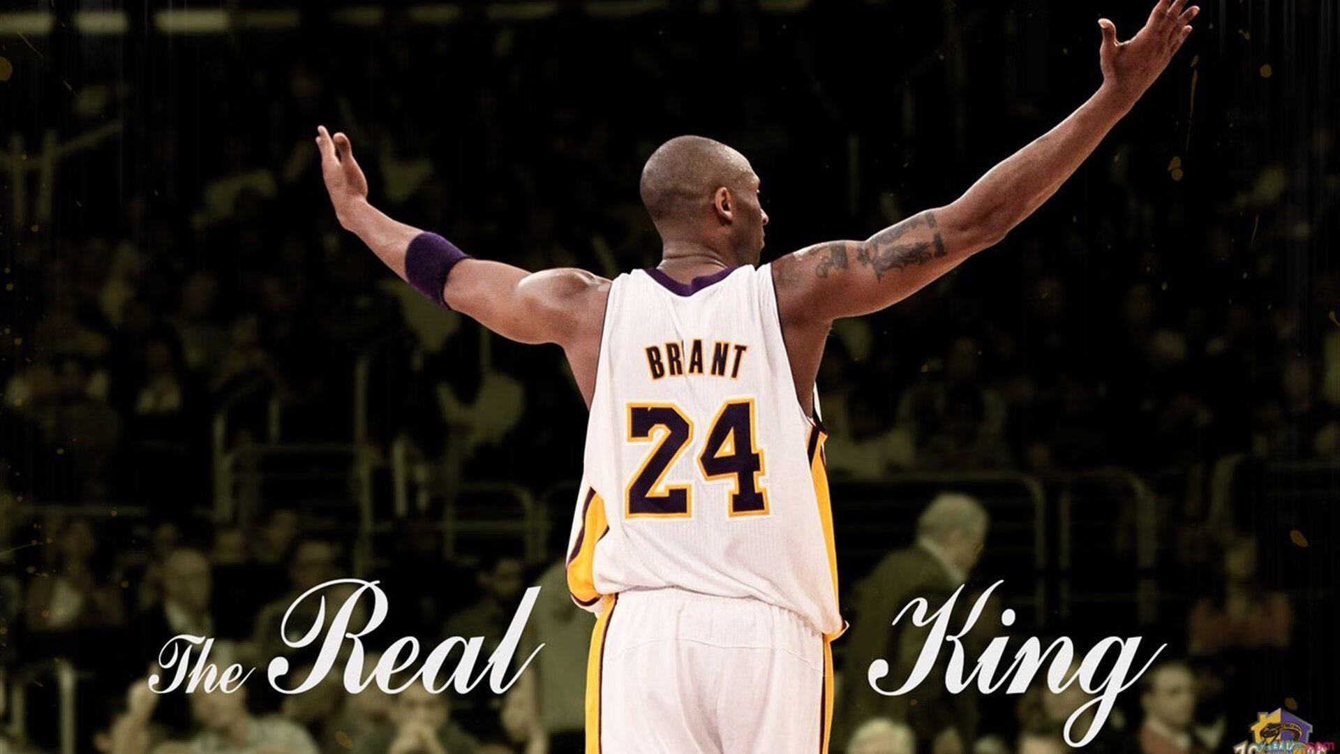 年度焦点之战之夜，布克大场面先生